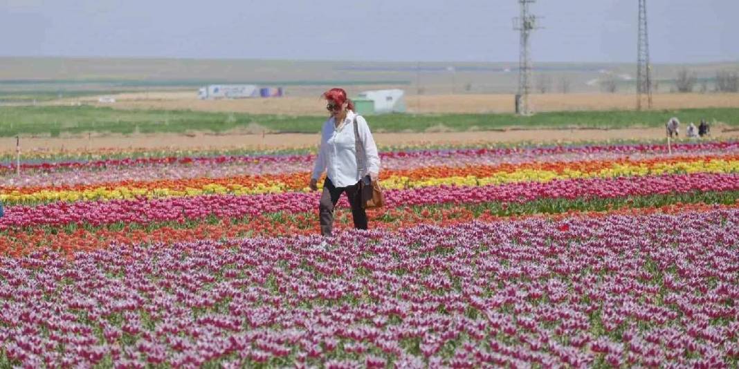 Akın akın Karaman'a gittiler: 2 günde ziyaretçi sayısı 30.000’e ulaştı 4